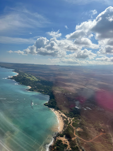 Explore nautical tattoo sleeve ideas, creative tattoo ideas in South Padre Island, available at Peggys Temporary & Permanent Tattoos