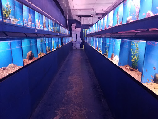 Tropical Fish Store «Tropi-Quatics Pet Center», reviews and photos, 337 S Main St, Lombard, IL 60148, USA