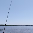 Chickahominy Wildlife Management Area