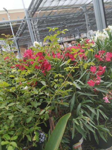 Home Improvement Store «The Home Depot», reviews and photos, 6000 Johnson Dr, Pleasanton, CA 94588, USA