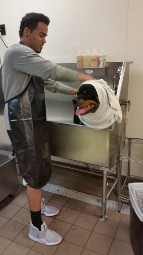 Pet Supply Store «Pet Supplies Plus», reviews and photos, 4751 Hiawatha Ave, Minneapolis, MN 55406, USA