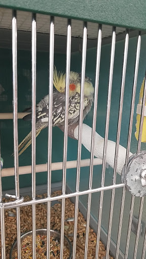 Pet Supply Store «Pet Supplies Plus», reviews and photos, 425 Water St, Chardon, OH 44024, USA