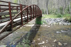 North Mills River Recreation Area image