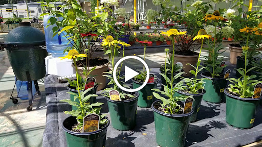 Florist «Dutch & Olgas Greenhouse», reviews and photos, 1285 NJ-36, Hazlet, NJ 07730, USA