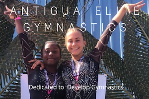Antigua Elite Gymnastics Academy image