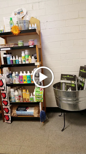 Pet Store «All Pets Considered», reviews and photos, 2614 Battleground Ave, Greensboro, NC 27408, USA
