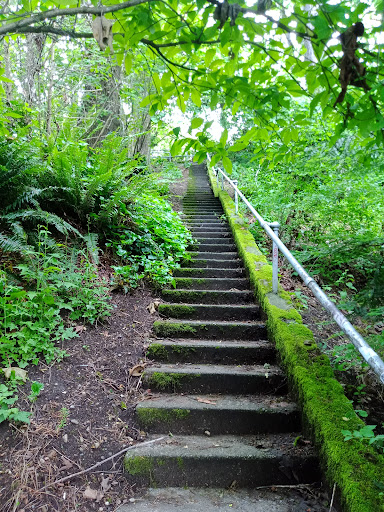 Park «Viretta Park», reviews and photos, 151 Lake Washington Blvd E, Seattle, WA 98112, USA