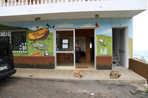 Centro Veterinario Tijarafe en Tijarafe