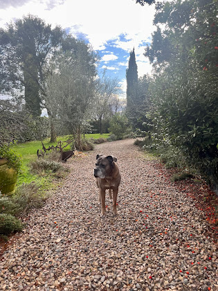 Photos des visiteurs Vacances à la ferme Agriturismo Il Quadrifoglio 99 58100 Grosseto