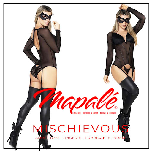 Adult Entertainment Store «Mischievous», reviews and photos, 559 300 W, Salt Lake City, UT 84101, USA