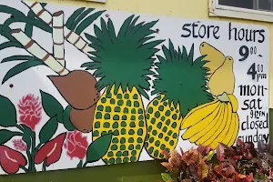 The Pineapple Store image