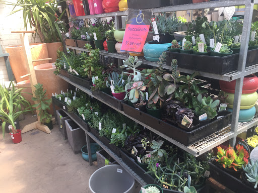 Plant shops in Adelaide