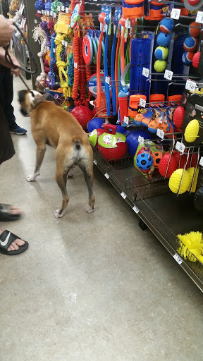 Pet Supply Store «Petco Animal Supplies», reviews and photos, 5850 Sepulveda Blvd, Van Nuys, CA 91411, USA