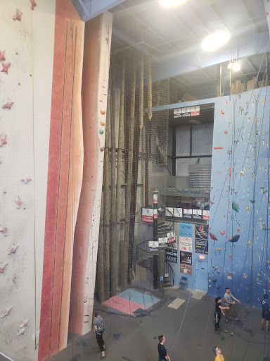 Rock Climbing «Planet Rock Climbing Gym», reviews and photos, 1103 W 13 Mile Rd, Madison Heights, MI 48071, USA