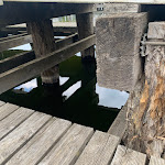 Photo n°6 de l'avis de Michael.a fait le 25/06/2023 à 12:20 sur le  Precise Resort Hafendorf Rheinsberg à Rheinsberg