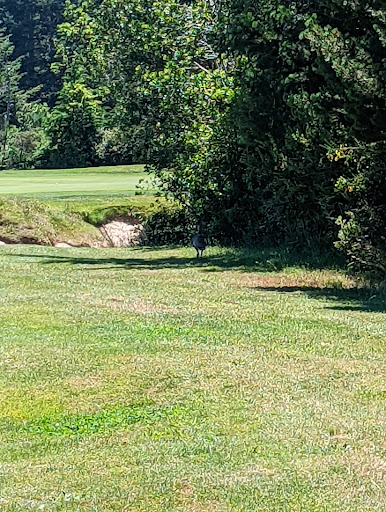 Golf Course «Bandon Crossings Golf Course», reviews and photos, 87530 Dew Valley Ln, Bandon, OR 97411, USA