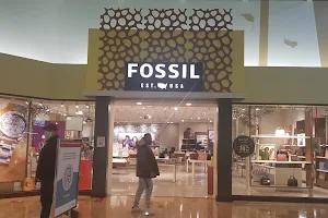 Fossil Outlet Store image