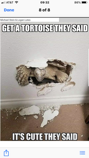 Pet Supply Store «Living Things», reviews and photos, 3437 PA-309, Orefield, PA 18069, USA