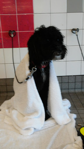 Pet Supply Store «Pet Food Express», reviews and photos, 3910 Middlefield Rd, Palo Alto, CA 94303, USA