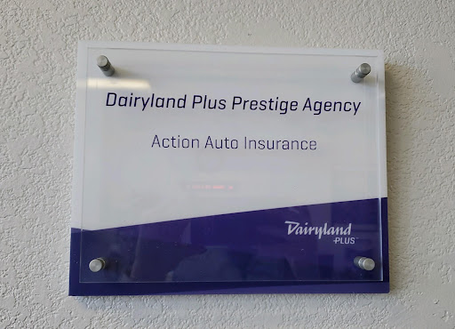Auto Insurance Agency «Action Auto Insurance», reviews and photos