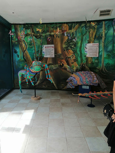 MUSEO DEL COCODRILO