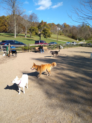 Carnegie Dog Park