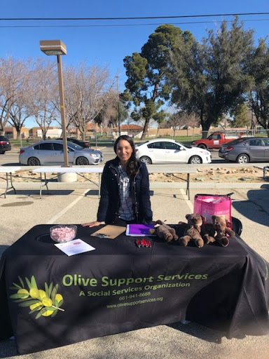 Olive Support Services - A Social Service Organization