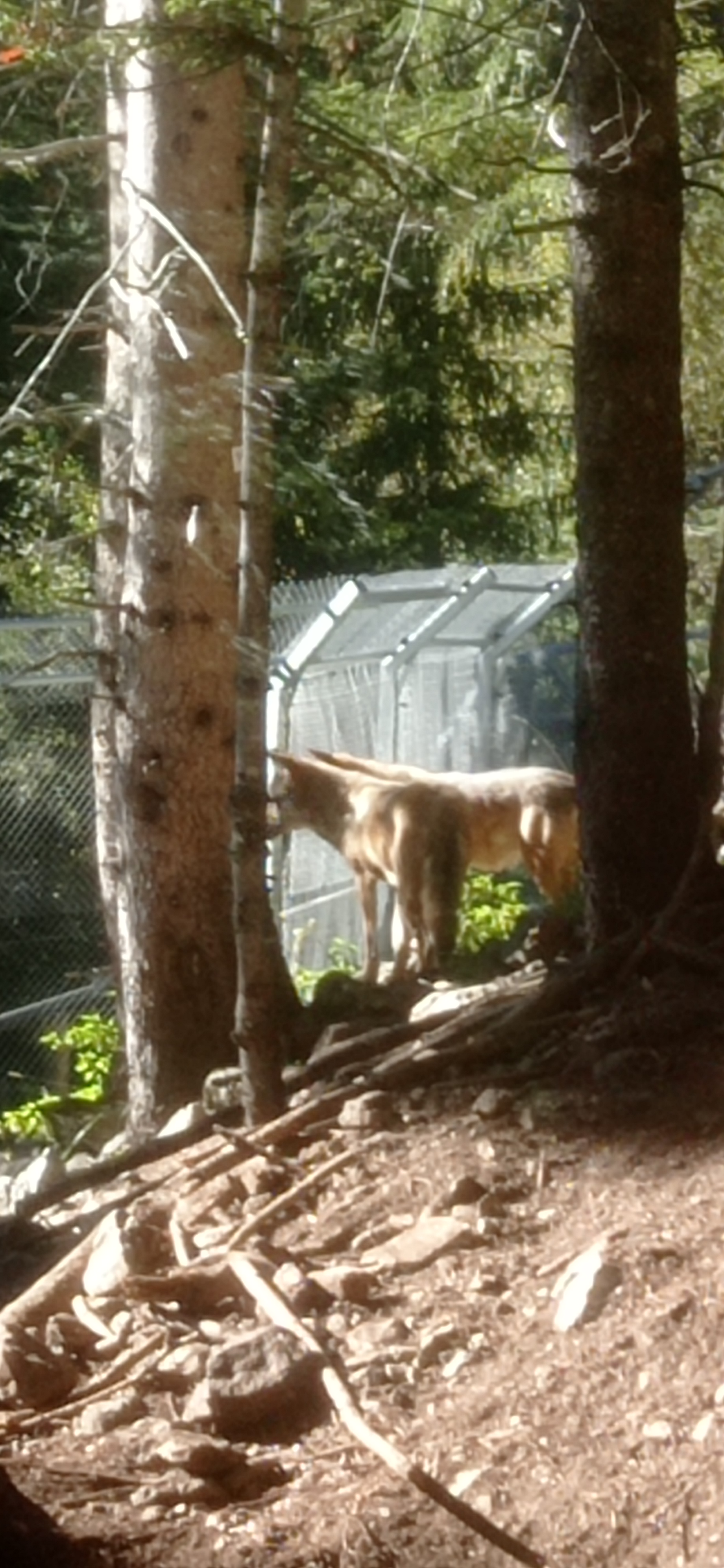 Photo n° 7 de l'avis de Cyril.A fait le 01/10/2022 à 19:11