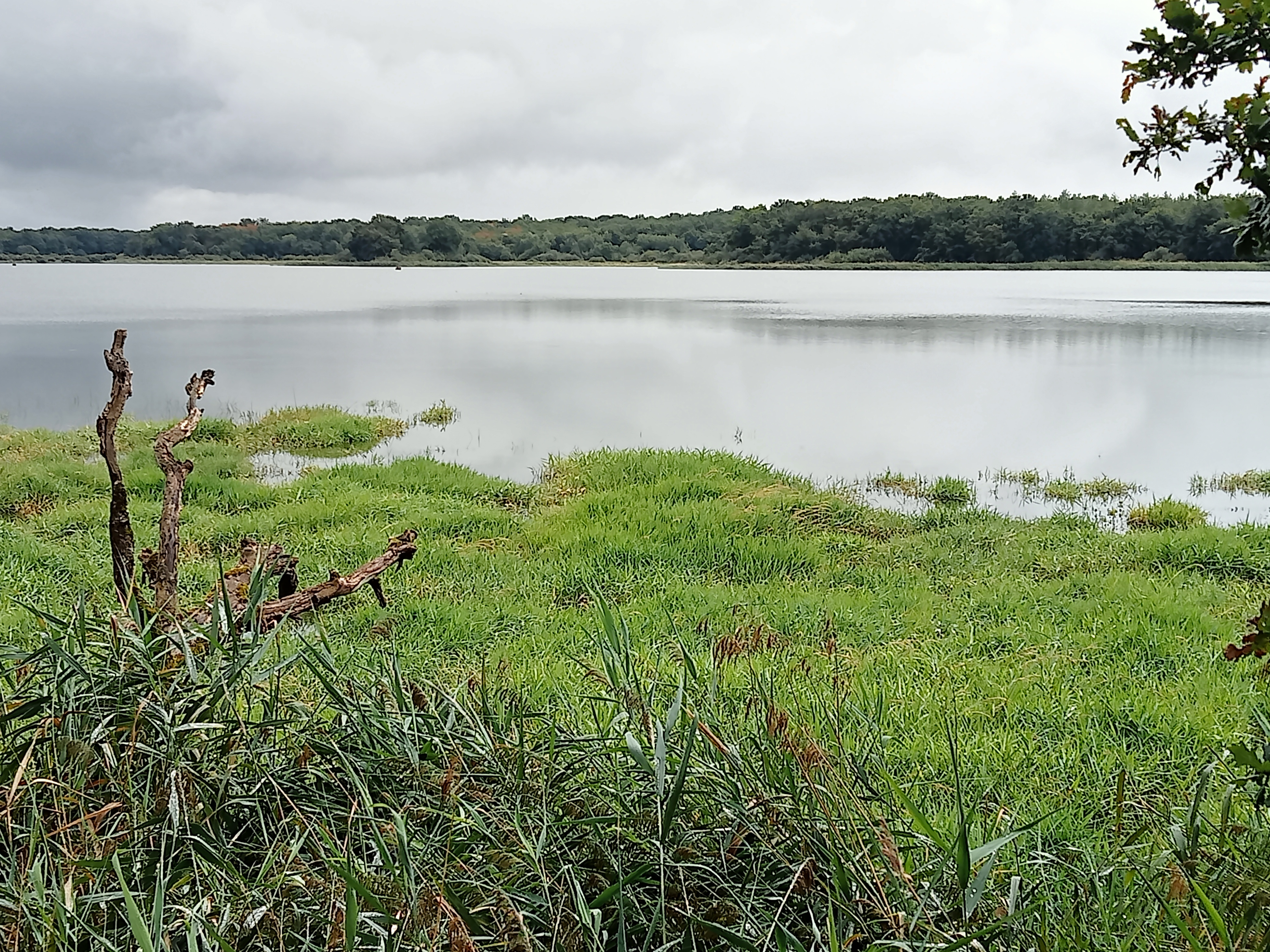 Photo n° 10 de l'avis de Marlène.a fait le 22/09/2023 à 22:10