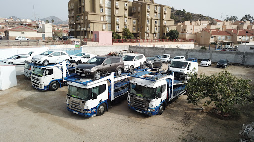 Gruas Pedro y Gines S.L.