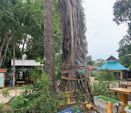 Wat Tha Khoi photo