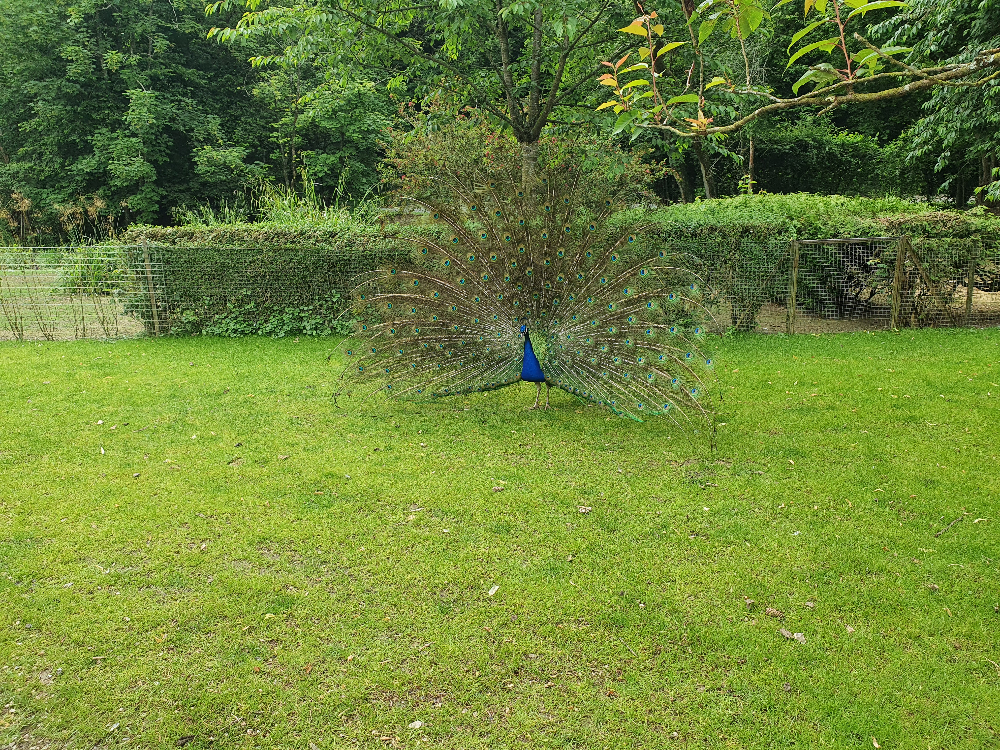 Photo n° 7 de l'avis de VIRGINIE.A fait le 10/06/2022 à 13:51