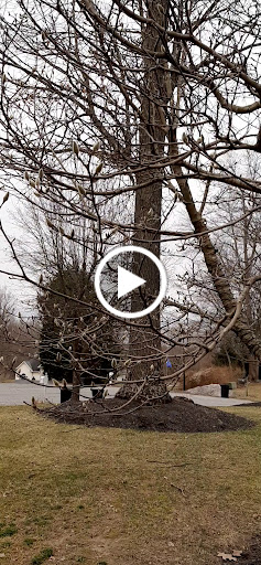 Liquor Store «Freeland Wine & Spirits», reviews and photos, 20231 Middletown Rd, Freeland, MD 21053, USA