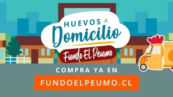 Opiniones de Fundo El Peumo Suc 67 Vega Monumental en Concepción - Centro comercial