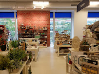 Marshalls