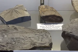 Cape Breton Fossil Centre/Sydney Mines Heritage Museum image