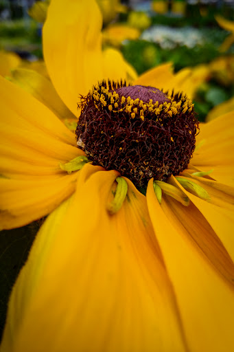 Home Improvement Store «The Home Depot», reviews and photos, 4949 NW Old Pike Rd, Gladstone, MO 64118, USA