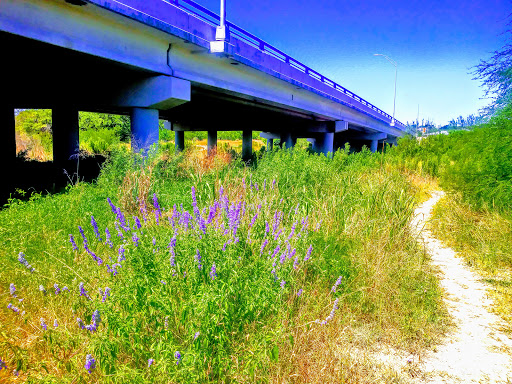 Park «Bamberger Nature Park», reviews and photos, 12401 Babcock Rd, San Antonio, TX 78249, USA