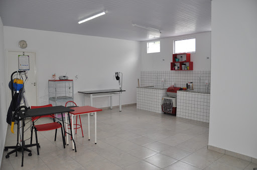 Clínica Veterinária Sanvet em Rio Claro - SP