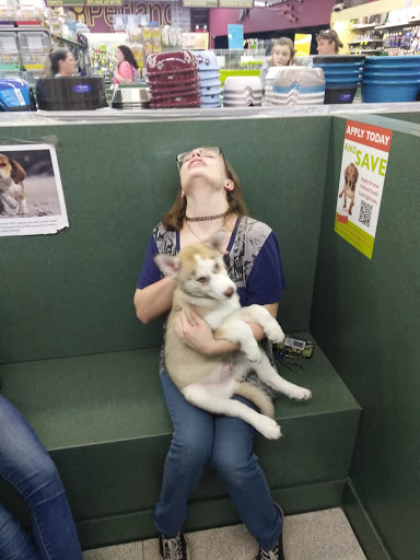 Pet Store «Petland Montgomery», reviews and photos, 7127 Eastchase Pkwy, Montgomery, AL 36117, USA