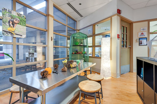 Preschool «Bright Horizons at Rosemont», reviews and photos, 6107 N River Rd, Rosemont, IL 60018, USA