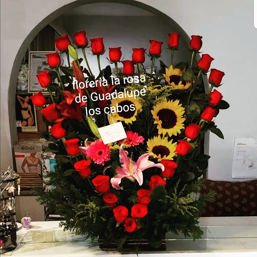 Floreria la Rosa de Guadalupe florería en  en la zona El Zacatal