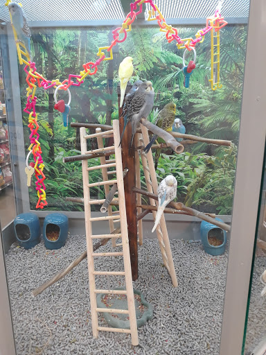 Pet Supply Store «Petco Animal Supplies», reviews and photos, 1419 Towne Square Blvd NW, Roanoke, VA 24019, USA