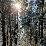 Photo n°2 de l'avis de Oliver.r fait le 09/02/2020 à 09:56 sur le  Seehaus Fichtelgebirge - Monika Steiner & Berthold Hübner à Tröstau