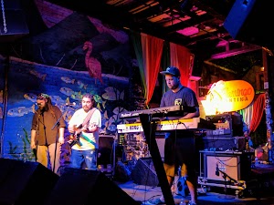 Flamingo Cantina - photo 52