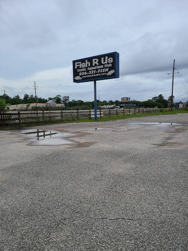Pet Store «Fish R Us», reviews and photos, 10855 TX-242, Conroe, TX 77385, USA