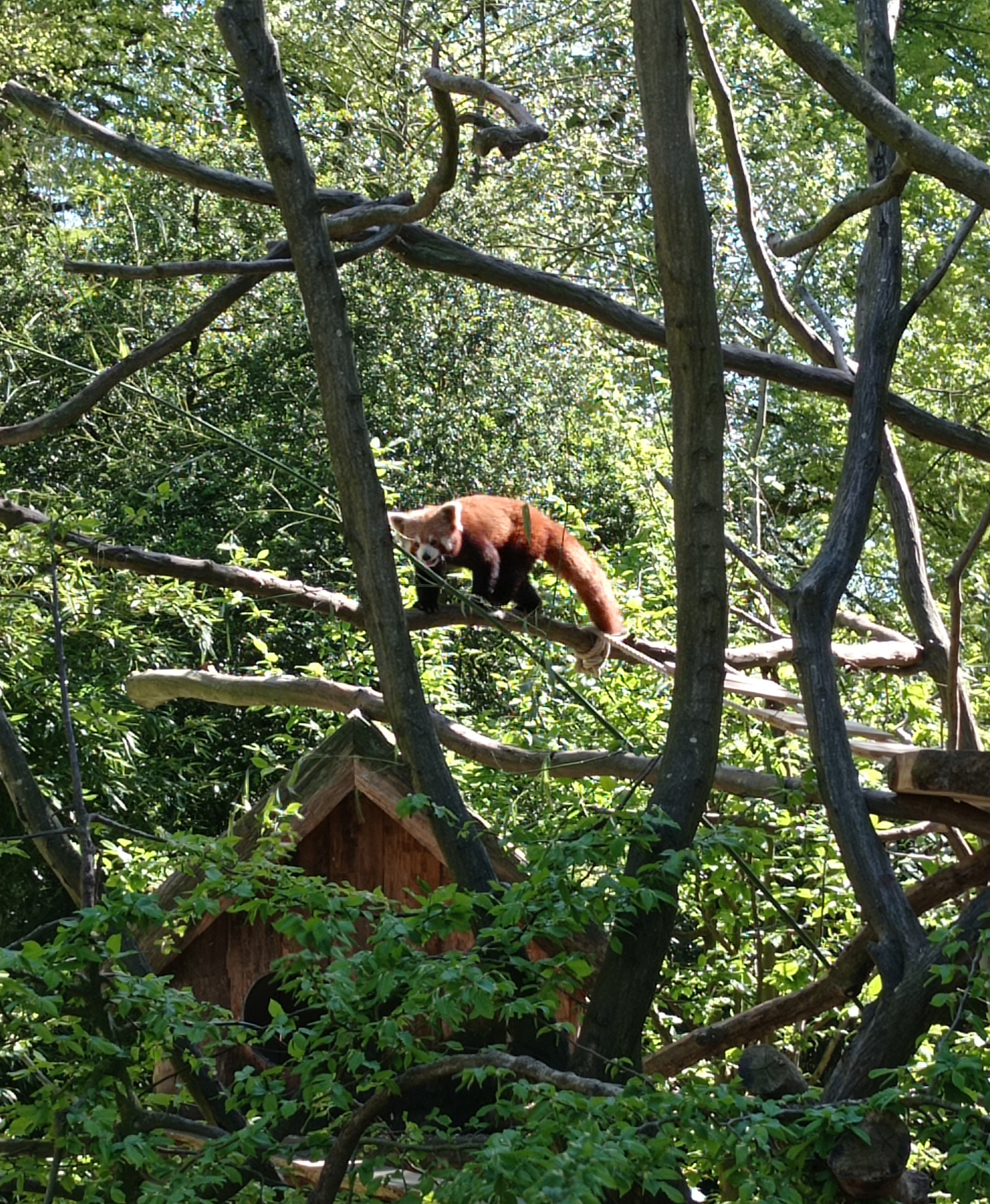 Photo n° 3 de l'avis de Louise.i fait le 04/05/2023 à 17:23