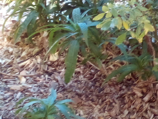 Water Park «Big Surf Waterpark Tempe», reviews and photos, 1500 N McClintock Dr, Tempe, AZ 85281, USA