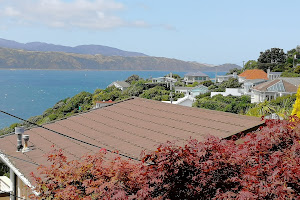 The Villa Karaka Bay