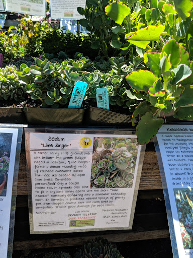 Building Materials Store «ProBuild», reviews and photos, 235 River St, Santa Cruz, CA 95060, USA